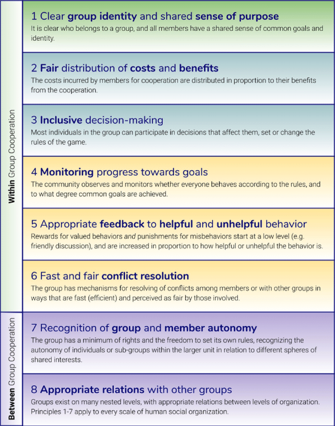 Diagram showing the eight design principles